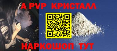 ешки Кингисепп