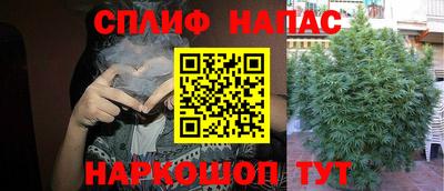 индика Кинель