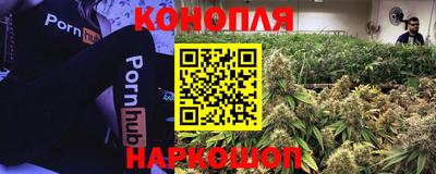 ешки Кингисепп