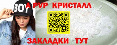 ешки Кингисепп