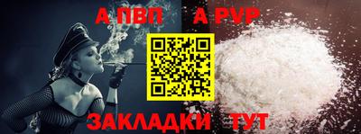 ешки Кингисепп
